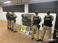 PM, PF e PC apreendem 1021,1 Kg de maconha em Santa Helena