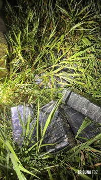PF, PC e PM apreendem 390 Kg de maconha nas imediações da Av. Beira Rio em Foz do Iguaçu
