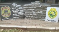 BPFRON e PF prendem mulher e apreendem grande quantidade de maconha na BR-277 em Santa Tereza do Oeste