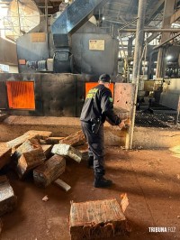 Policia Federal incinera 10 toneladas de entorpecentes da Tríplice Fronteira