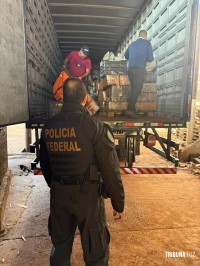 Policia Federal incinera 10 toneladas de entorpecentes da Tríplice Fronteira