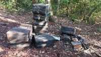 PF apreende embarcação e cigarros contrabandeados as margens do Lago de Itaipu
