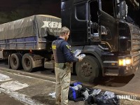 PRF apreende mais de 45 Kg de drogas escondidas em caminhão em Santa Terezinha de Itaipu 