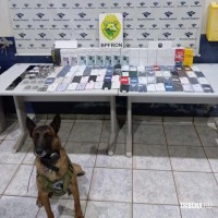 FICCO prende três pessoas com carga milionária de mercadorias descaminhadas