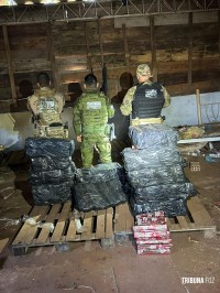 BPFRON, PF e PC apreendem 379 Kg de maconha em chácara abandonada em Foz do Iguaçu