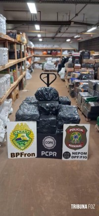 BPFRON, PF e PC apreendem 379 Kg de maconha em chácara abandonada em Foz do Iguaçu