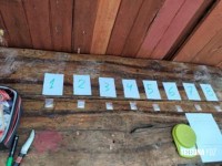 Policia de Misiones prende 155 doses de cocaína em Puerto Iguazu