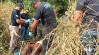 Jovem desaparecido é encontrado enterrado em matagal na região do Bairro Três Lagoas