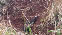 Jovem desaparecido é encontrado enterrado em matagal na região do Bairro Três Lagoas