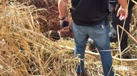 Jovem desaparecido é encontrado enterrado em matagal na região do Bairro Três Lagoas