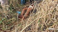 Jovem desaparecido é encontrado enterrado em matagal na região do Bairro Três Lagoas