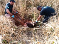 Jovem desaparecido é encontrado enterrado em matagal na região do Bairro Três Lagoas