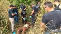 Jovem desaparecido é encontrado enterrado em matagal na região do Bairro Três Lagoas