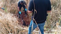 Jovem desaparecido é encontrado enterrado em matagal na região do Bairro Três Lagoas