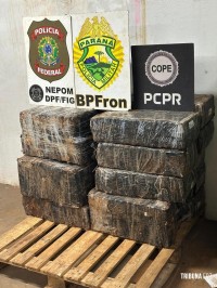 Forças policiais apreendem 440 Kg de maconha em porto clandestino em Foz do Iguaçu