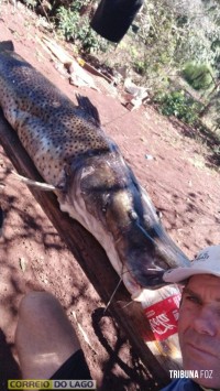 Pintado de 49 Kg é capturado no Lago de Itaipu por pescador em Santa Helena