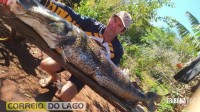 Pintado de 49 Kg é capturado no Lago de Itaipu por pescador em Santa Helena
