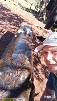 Pintado de 49 Kg é capturado no Lago de Itaipu por pescador em Santa Helena