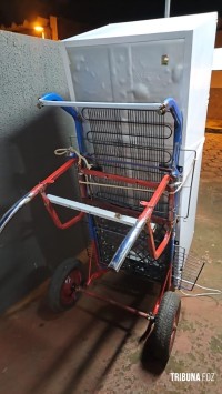 Guarda Municipal prende homem pelo crime de furto qualificado no Porto Meira