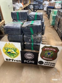 Forças policiais apreendem mais de 345,3 Kg de maconha em porto clandestino em Foz do Iguaçu 