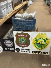 Policia Federal, Policia Civil e Policia Militar apreendem drogas em porto clandestino no rio Paraná