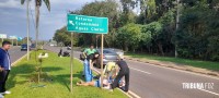 Idosa é socorrida pelo Siate após cair de moto na Av. das Cataratas
