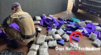 ROTAM apreende mais de 100 quilos de drogas após denúncia anônima no Bairro Portal da Foz 