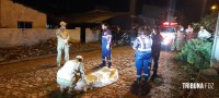 Jovem é executado com 11 tiros de pistola 9mm no Jardim Morenitas