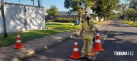 Homem sofre mais de 200 picadas em ataque de abelhas na Vila Yolanda