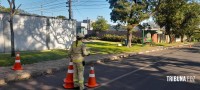 Homem sofre mais de 200 picadas em ataque de abelhas na Vila Yolanda
