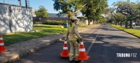 Homem sofre mais de 200 picadas em ataque de abelhas na Vila Yolanda