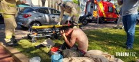 Homem sofre mais de 200 picadas em ataque de abelhas na Vila Yolanda