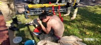 Homem sofre mais de 200 picadas em ataque de abelhas na Vila Yolanda