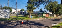 Homem sofre mais de 200 picadas em ataque de abelhas na Vila Yolanda