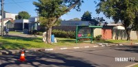 Homem sofre mais de 200 picadas em ataque de abelhas na Vila Yolanda