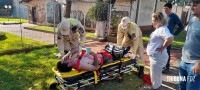 Homem sofre mais de 200 picadas em ataque de abelhas na Vila Yolanda