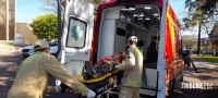 Homem sofre mais de 200 picadas em ataque de abelhas na Vila Yolanda