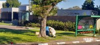Homem sofre mais de 200 picadas em ataque de abelhas na Vila Yolanda