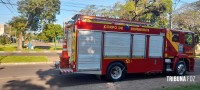 Homem sofre mais de 200 picadas em ataque de abelhas na Vila Yolanda