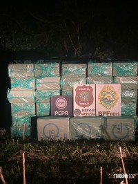 Forças policiais apreendem centenas de caixas de cigarros contrabandeados em Itaipulândia