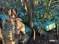 Forças policiais apreendem centenas de caixas de cigarros contrabandeados em Itaipulândia