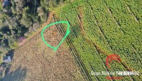 Policial civil morre em trágico acidente de paramotor em Missal