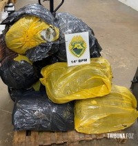 PM apreende 177 Kg de maconha e prende três pessoas em Foz do Iguaçu