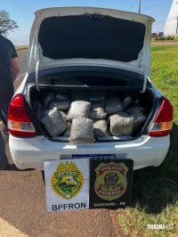 BPFRON e Policia Federal prendem mulher com 137,4 Kg de maconha na BR-277 em Santa Tereza do Oeste
