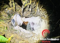 Corpo amarrado é encontrado em loteamento novo em Foz do Iguaçu