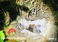 Corpo amarrado é encontrado em loteamento novo em Foz do Iguaçu