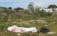 Corpo de homem enrolado em lençol é encontrado em terreno baldio no Jardim Universitário