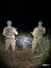 Policia Federal, Policia Civil e Policia Militar apreendem 1.039 Kg de maconha em Santa Helena