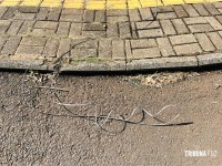 Motociclista fica ferida ao ser derrubada por fio solto em via de Foz do Iguaçu