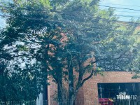 Motociclista fica ferida ao ser derrubada por fio solto em via de Foz do Iguaçu